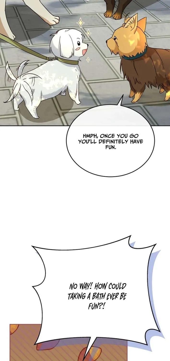 Hello, Mr. Veterinarian! Chapter 129 page 17 - 