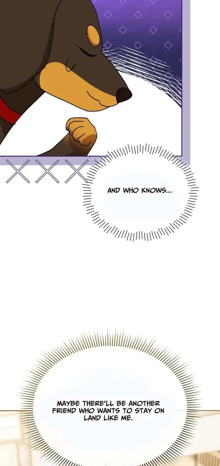 Hello, Mr. Veterinarian! Chapter 129 page 27 - 