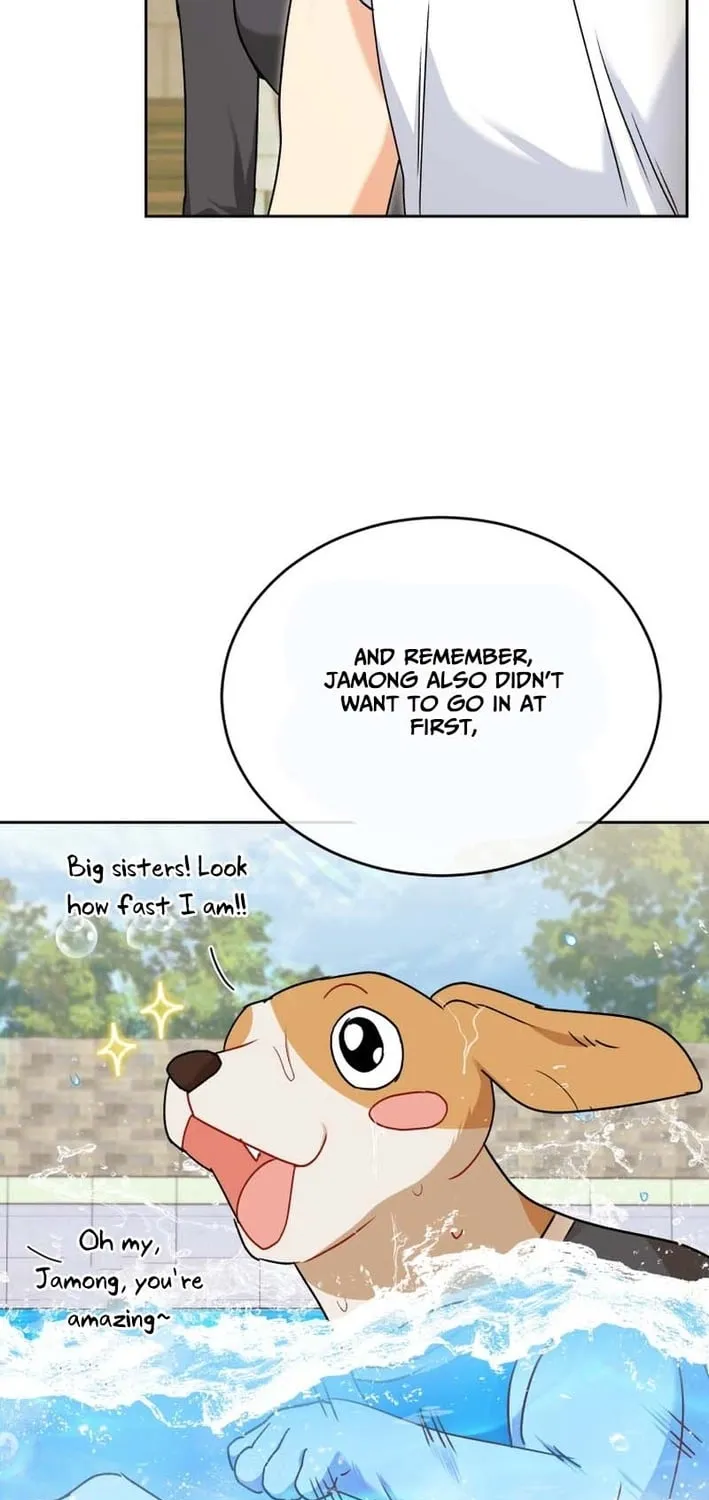 Hello, Mr. Veterinarian! Chapter 129 page 47 - 