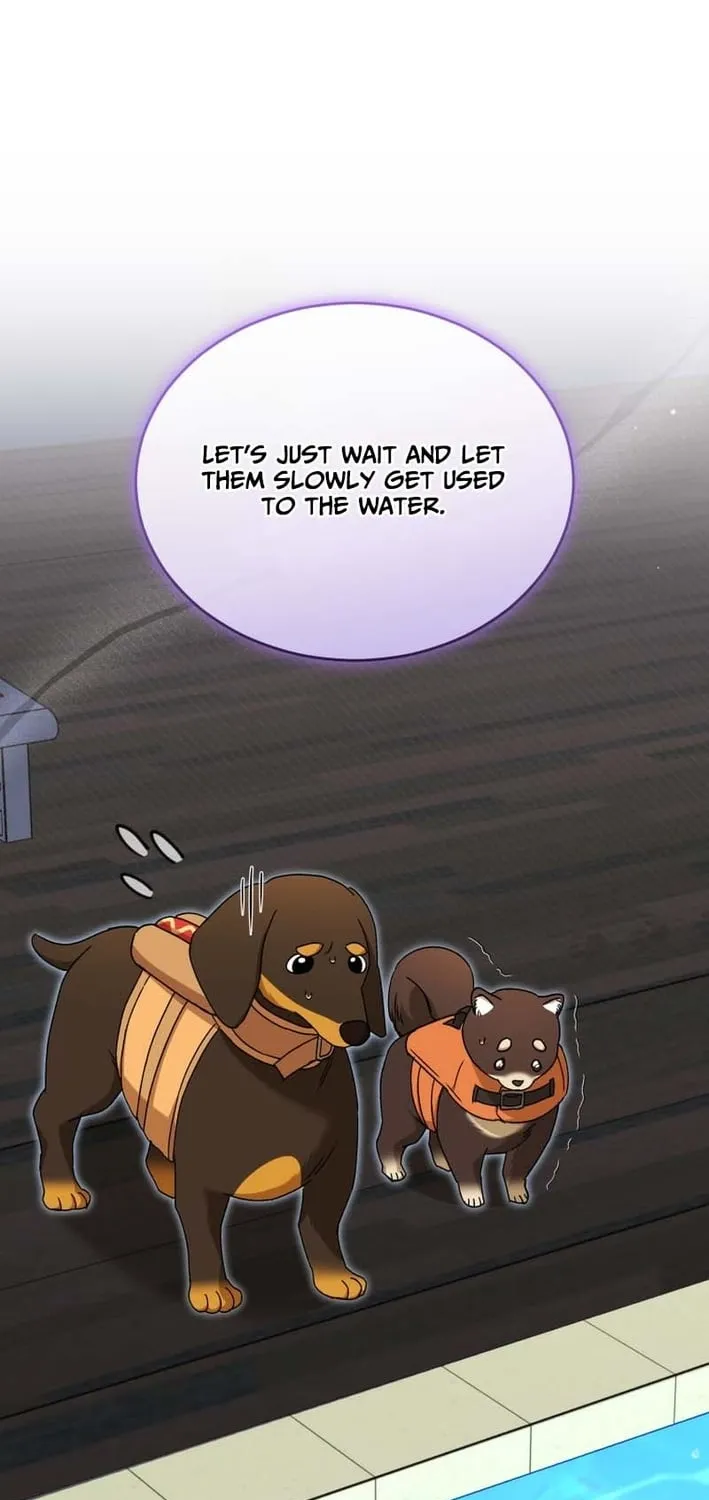 Hello, Mr. Veterinarian! Chapter 129 page 49 - 