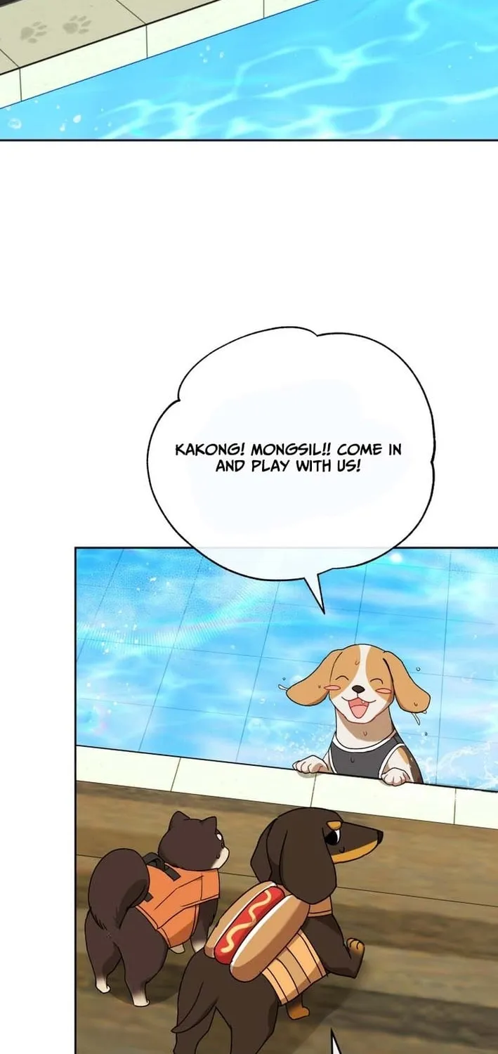 Hello, Mr. Veterinarian! Chapter 129 page 50 - 