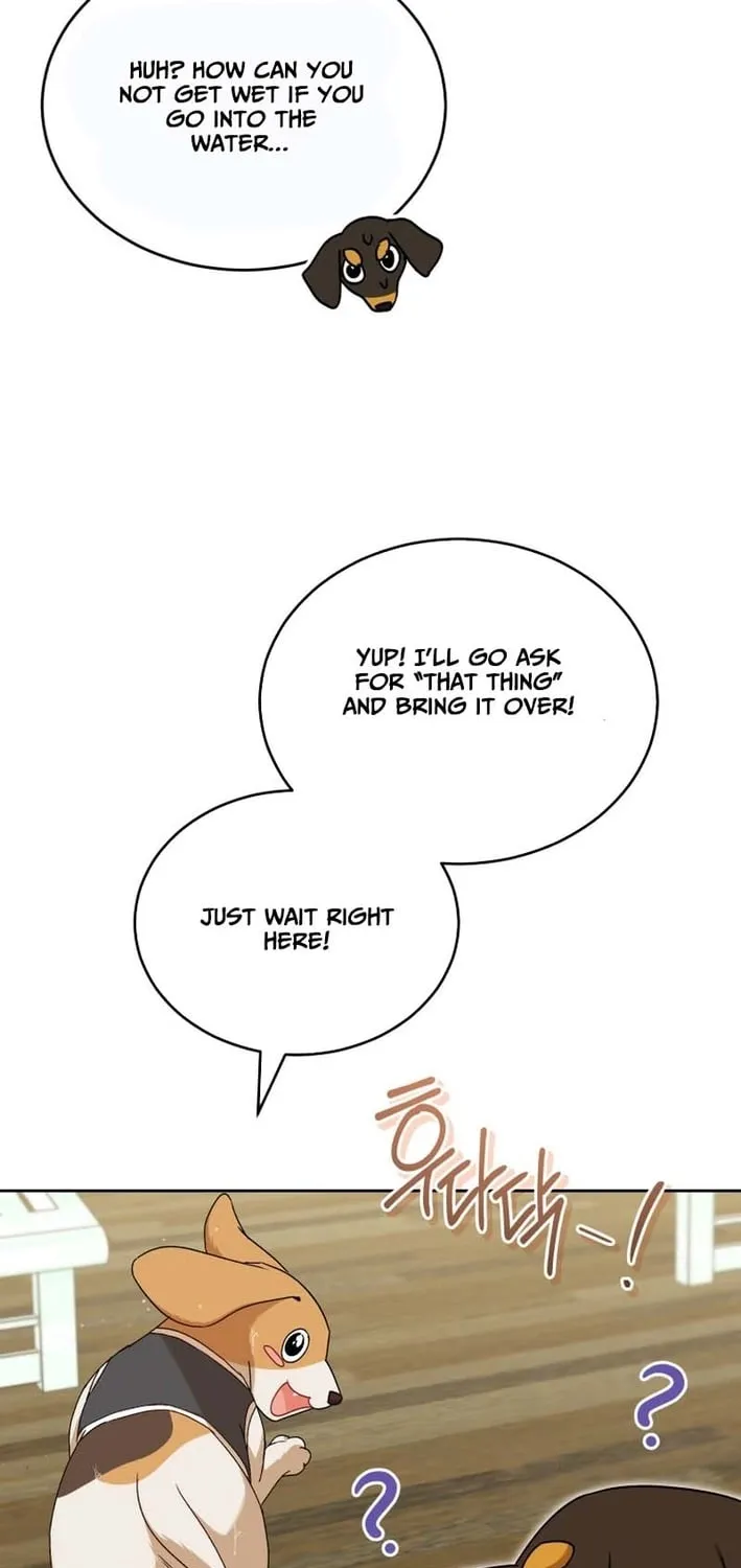 Hello, Mr. Veterinarian! Chapter 129 page 53 - 