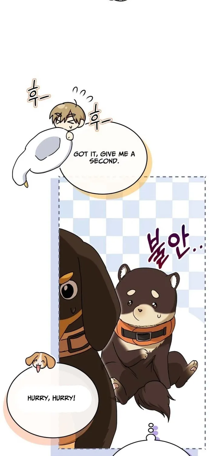 Hello, Mr. Veterinarian! Chapter 129 page 57 - 