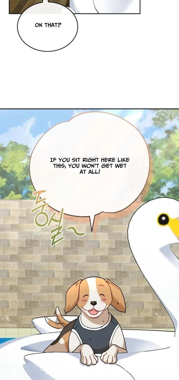 Hello, Mr. Veterinarian! Chapter 129 page 61 - 