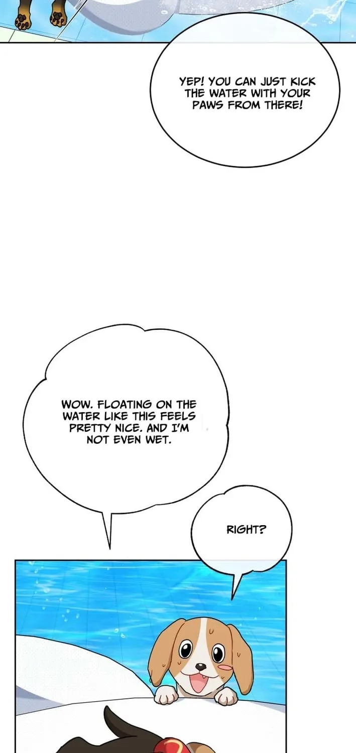 Hello, Mr. Veterinarian! Chapter 129 page 63 - 