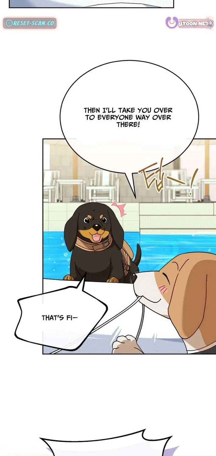 Hello, Mr. Veterinarian! Chapter 129 page 65 - 