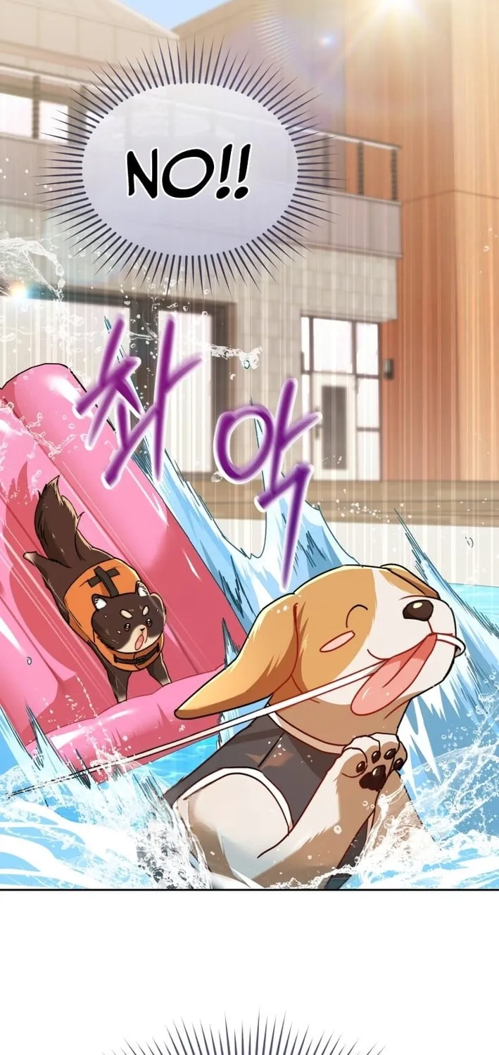 Hello, Mr. Veterinarian! Chapter 130 page 3 - 