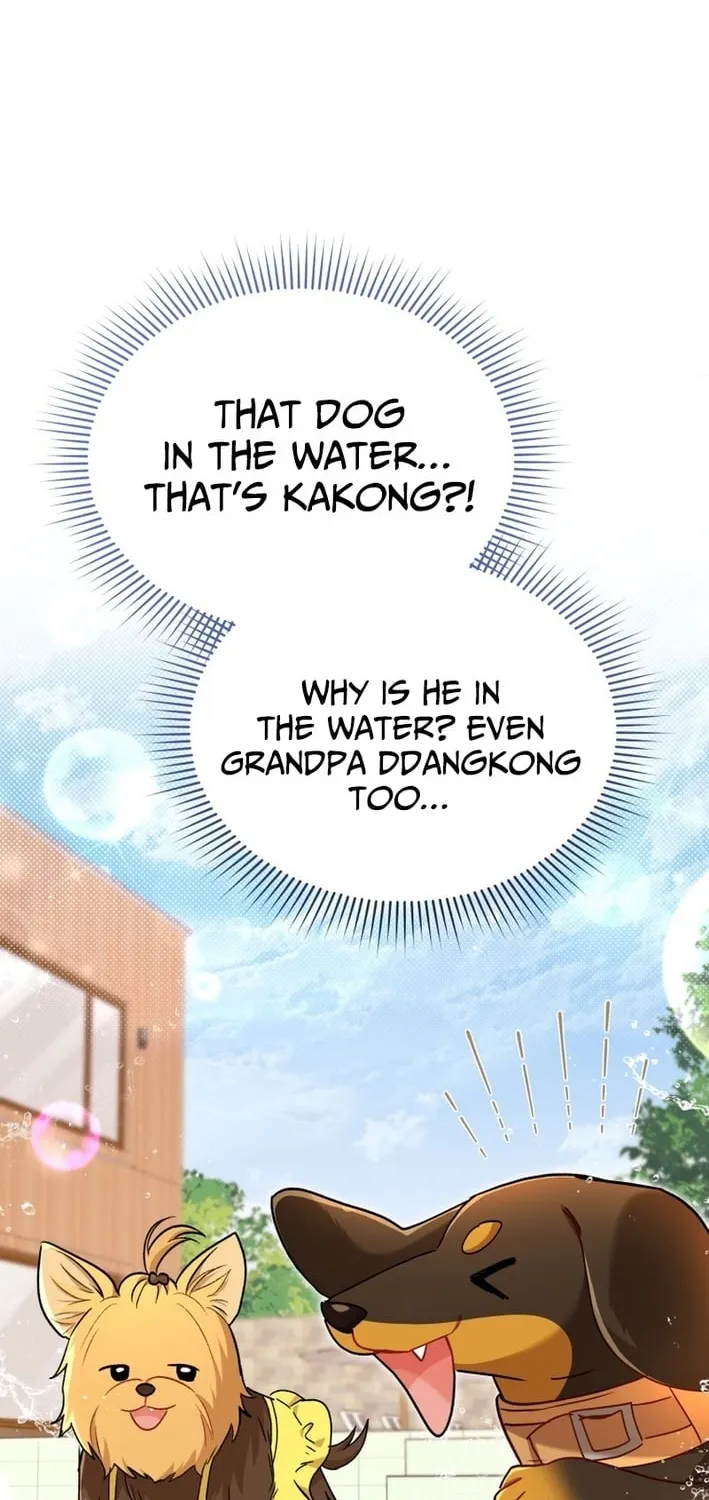 Hello, Mr. Veterinarian! Chapter 130 page 38 - 