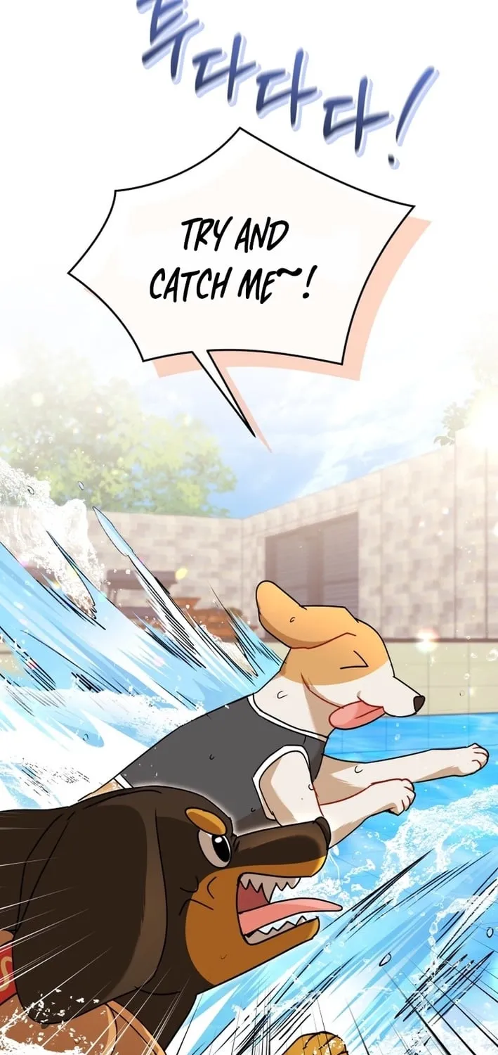 Hello, Mr. Veterinarian! Chapter 130 page 41 - 
