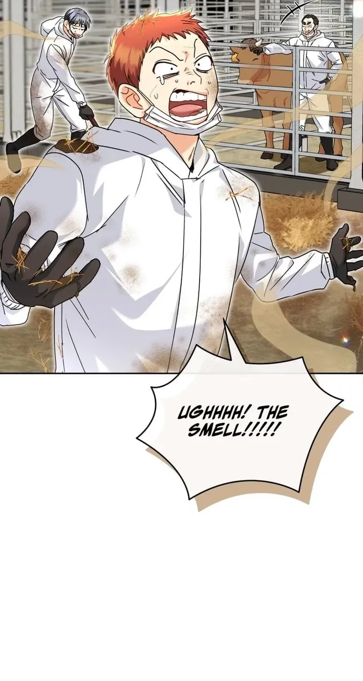 Hello, Mr. Veterinarian! Chapter 135 page 24 - 