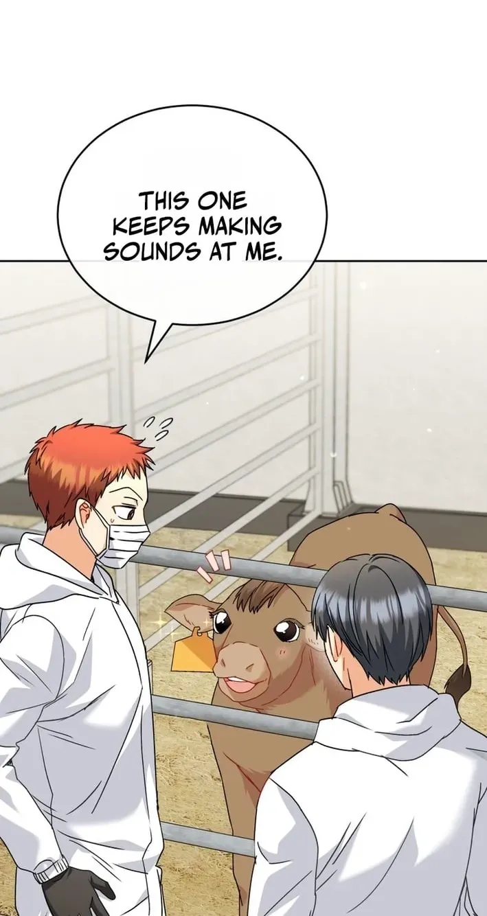 Hello, Mr. Veterinarian! Chapter 135 page 28 - 