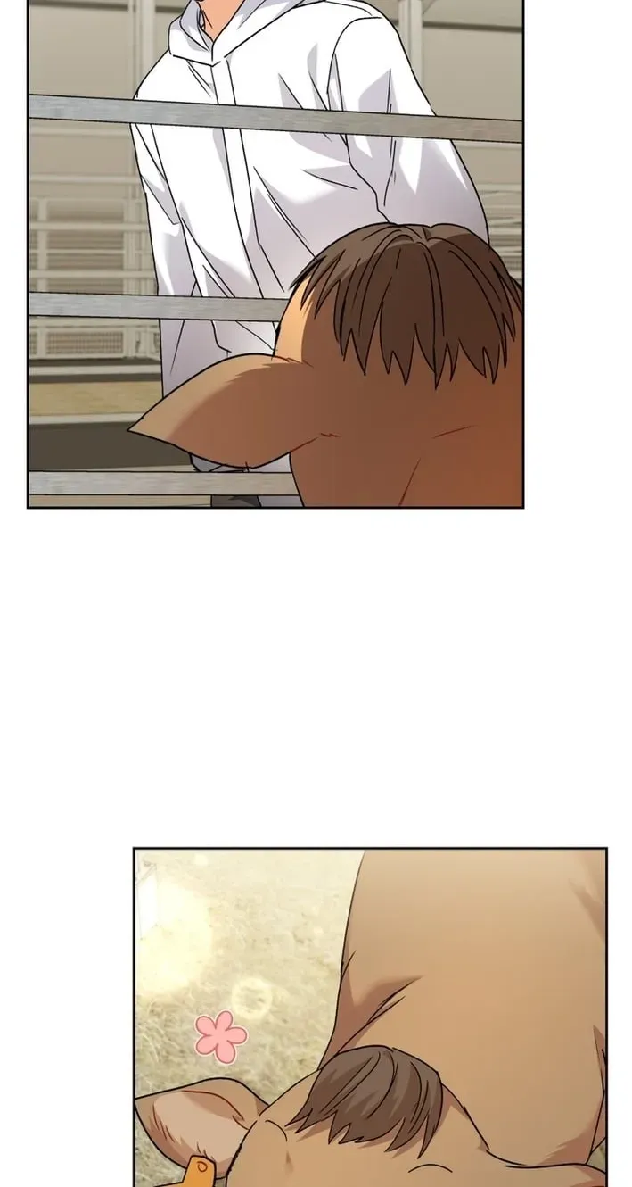 Hello, Mr. Veterinarian! Chapter 135 page 36 - 
