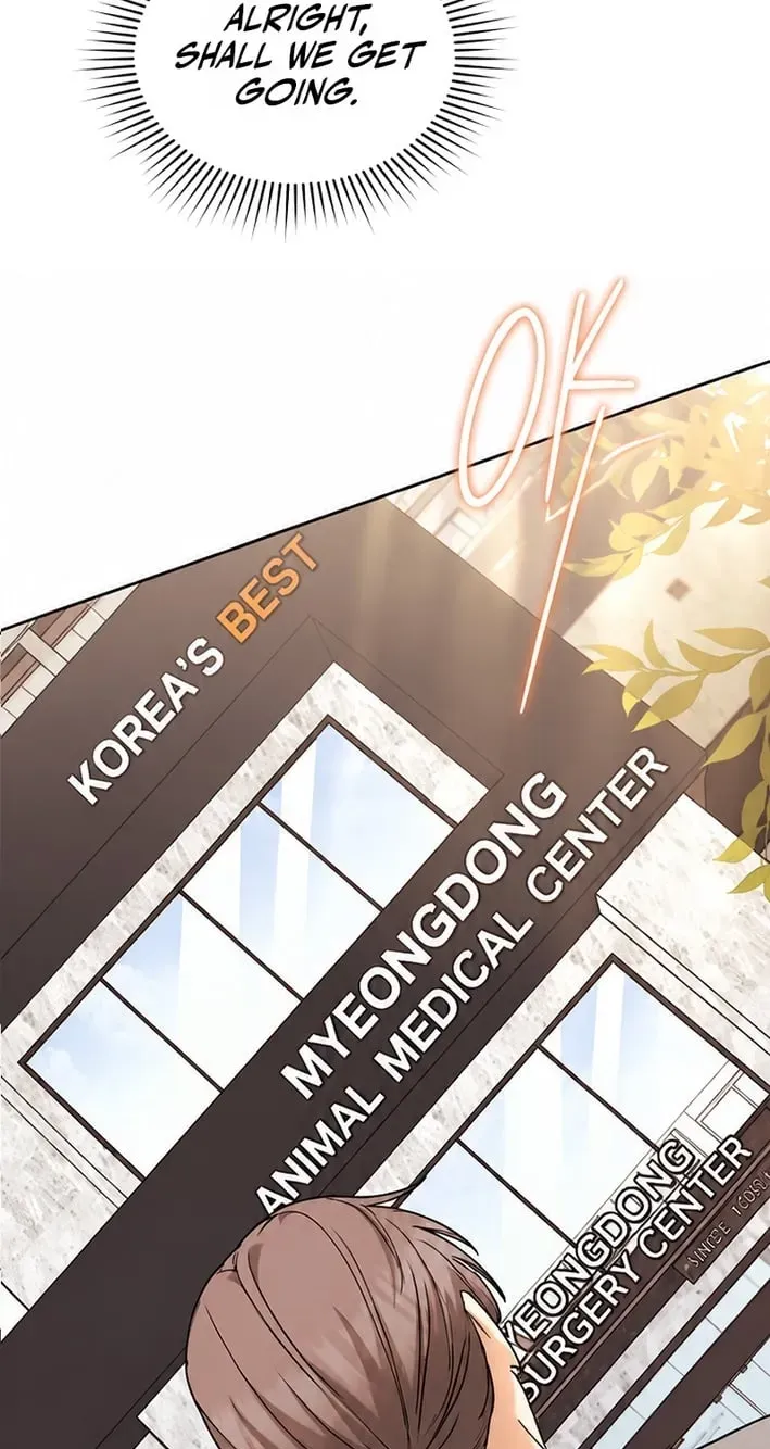 Hello, Mr. Veterinarian! Chapter 136 page 19 - 