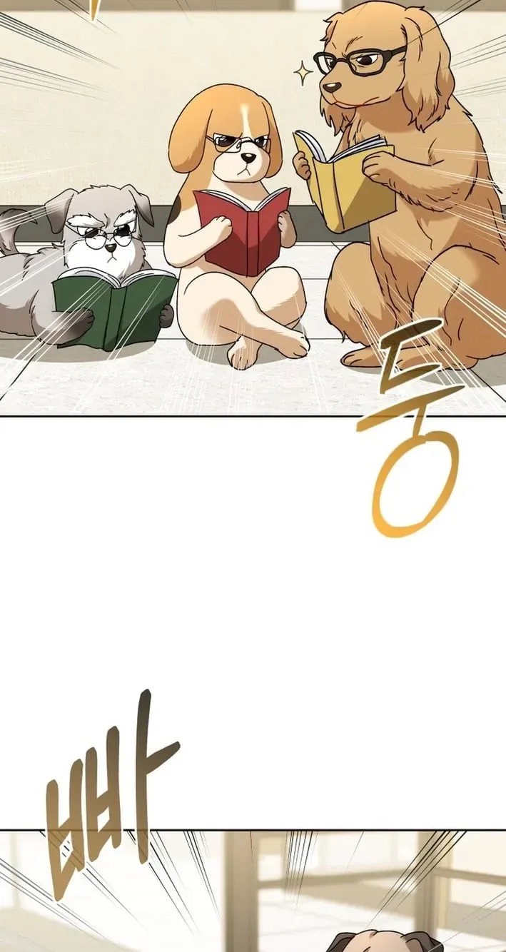 Hello, Mr. Veterinarian! Chapter 136 page 29 - 
