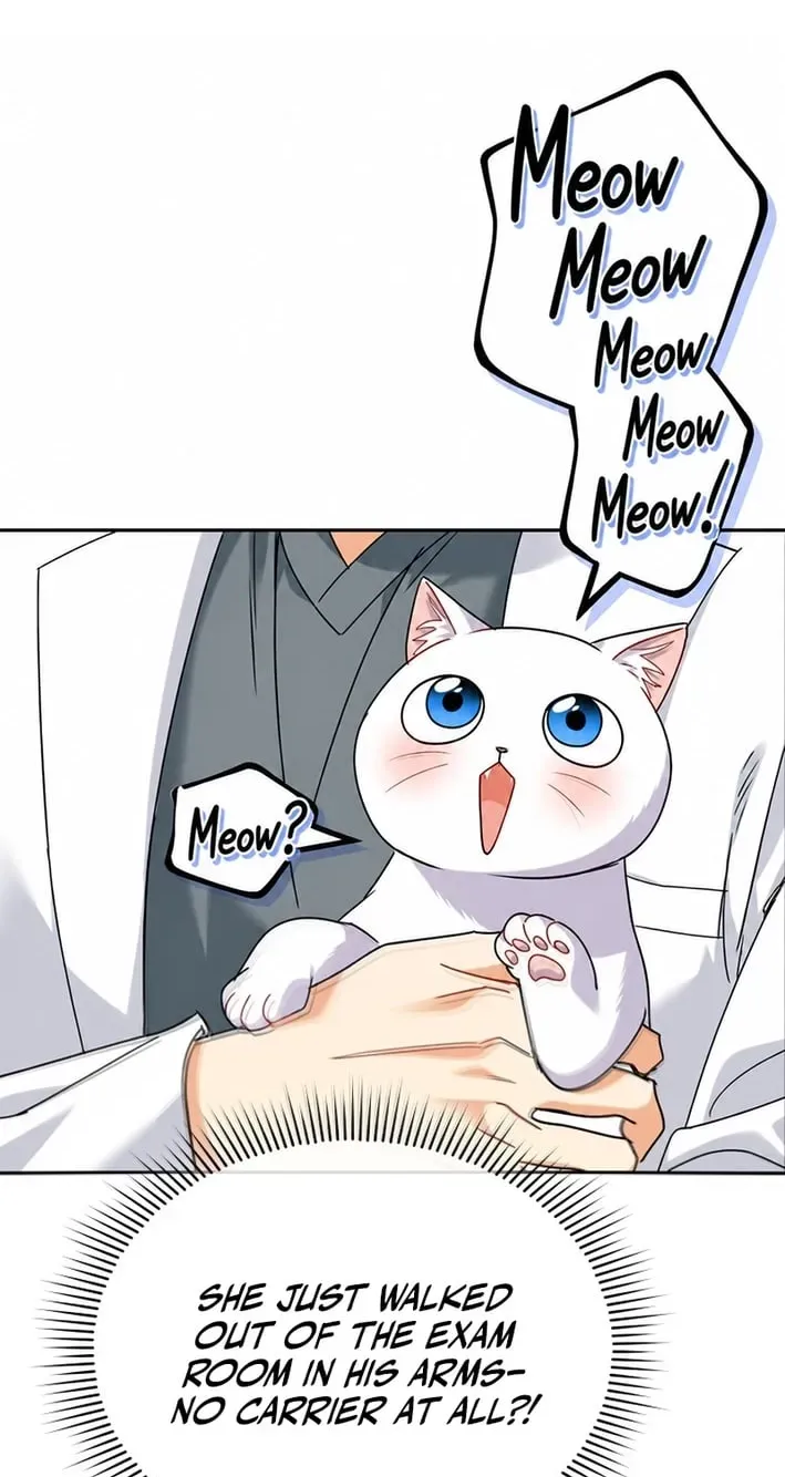 Hello, Mr. Veterinarian! Chapter 136 page 39 - 