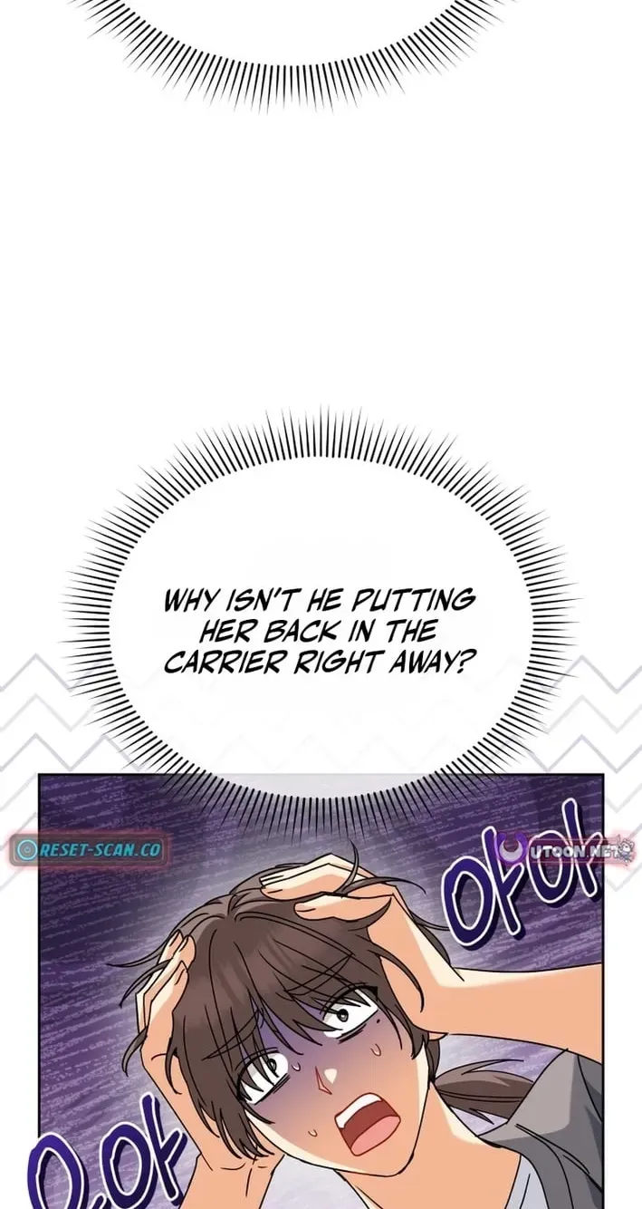 Hello, Mr. Veterinarian! Chapter 136 page 40 - 