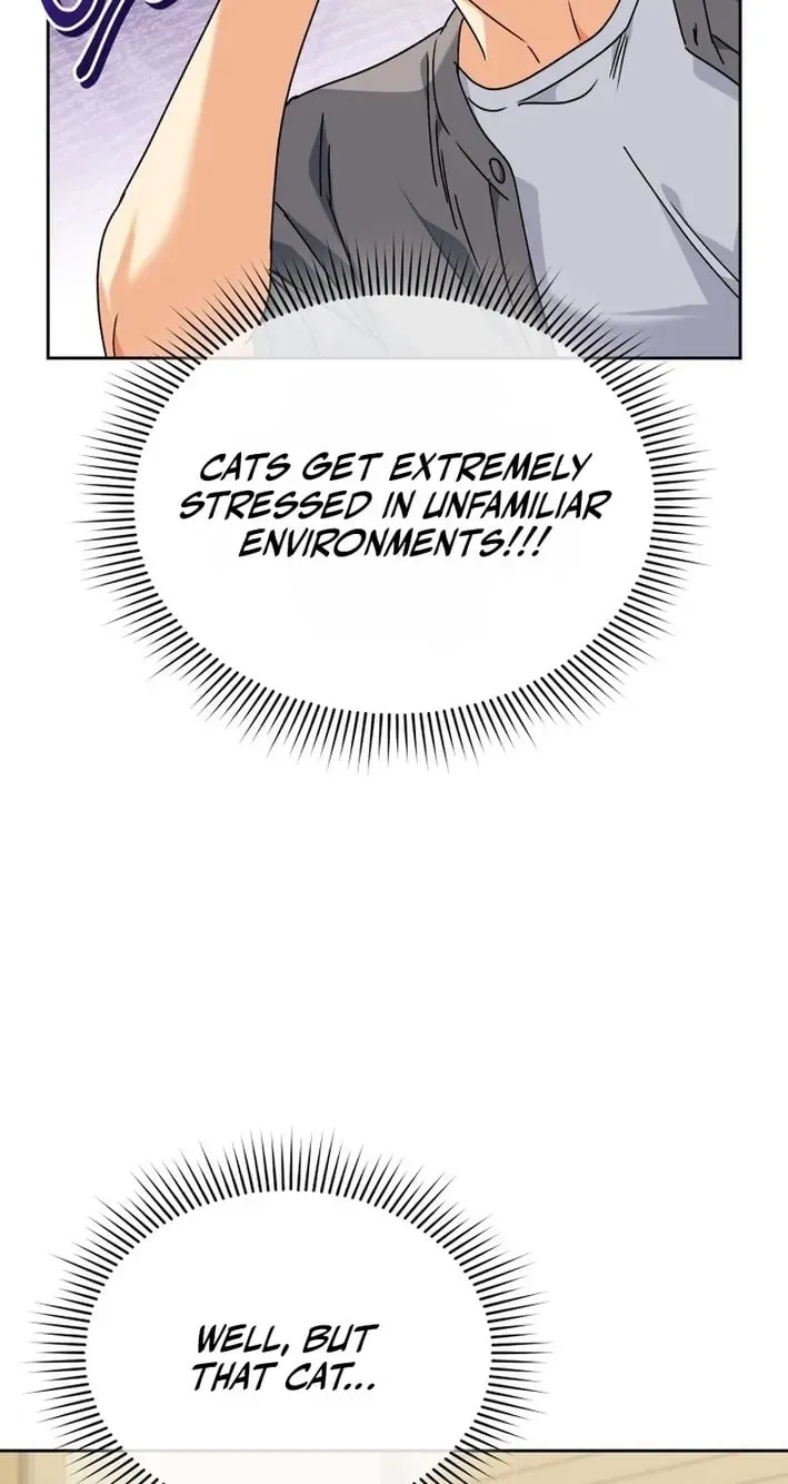 Hello, Mr. Veterinarian! Chapter 136 page 41 - 