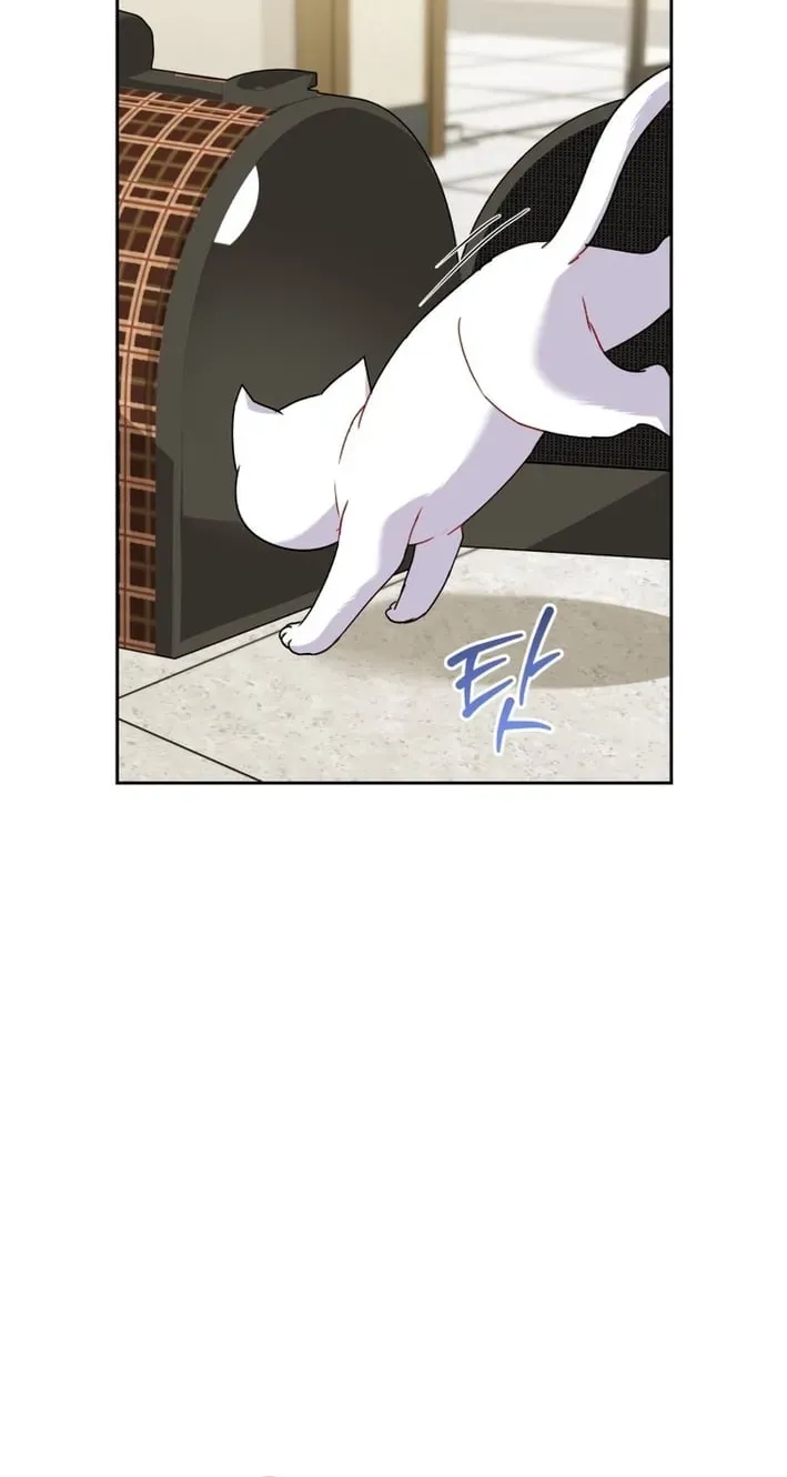 Hello, Mr. Veterinarian! Chapter 136 page 48 - 