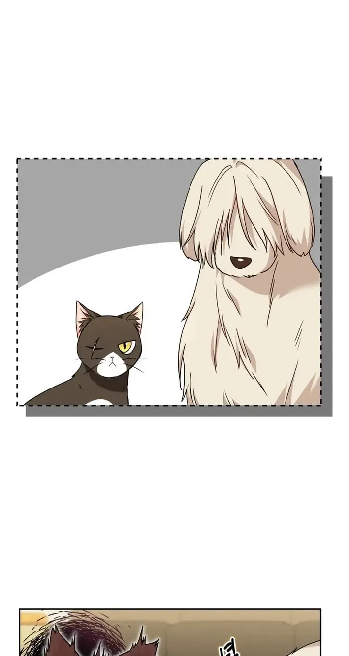 Hello, Mr. Veterinarian! Chapter 136 page 81 - 