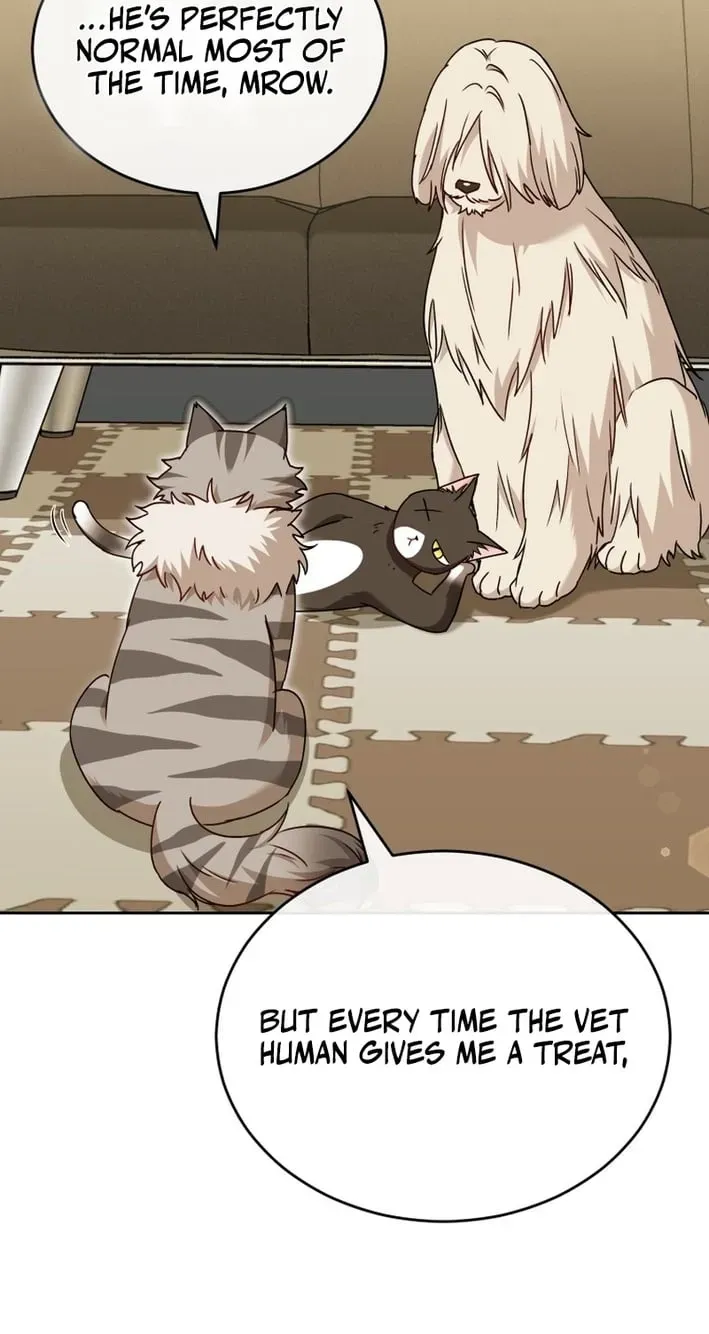 Hello, Mr. Veterinarian! Chapter 136 page 85 - 