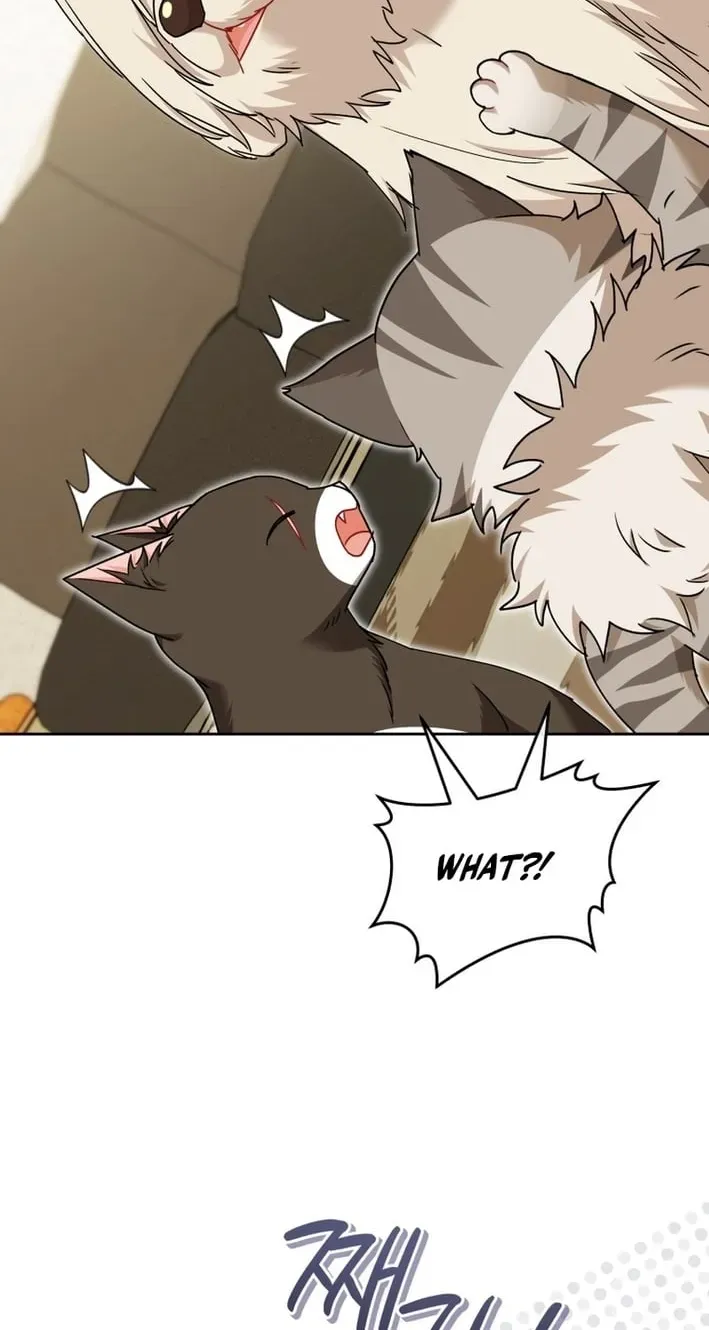 Hello, Mr. Veterinarian! Chapter 136 page 90 - 