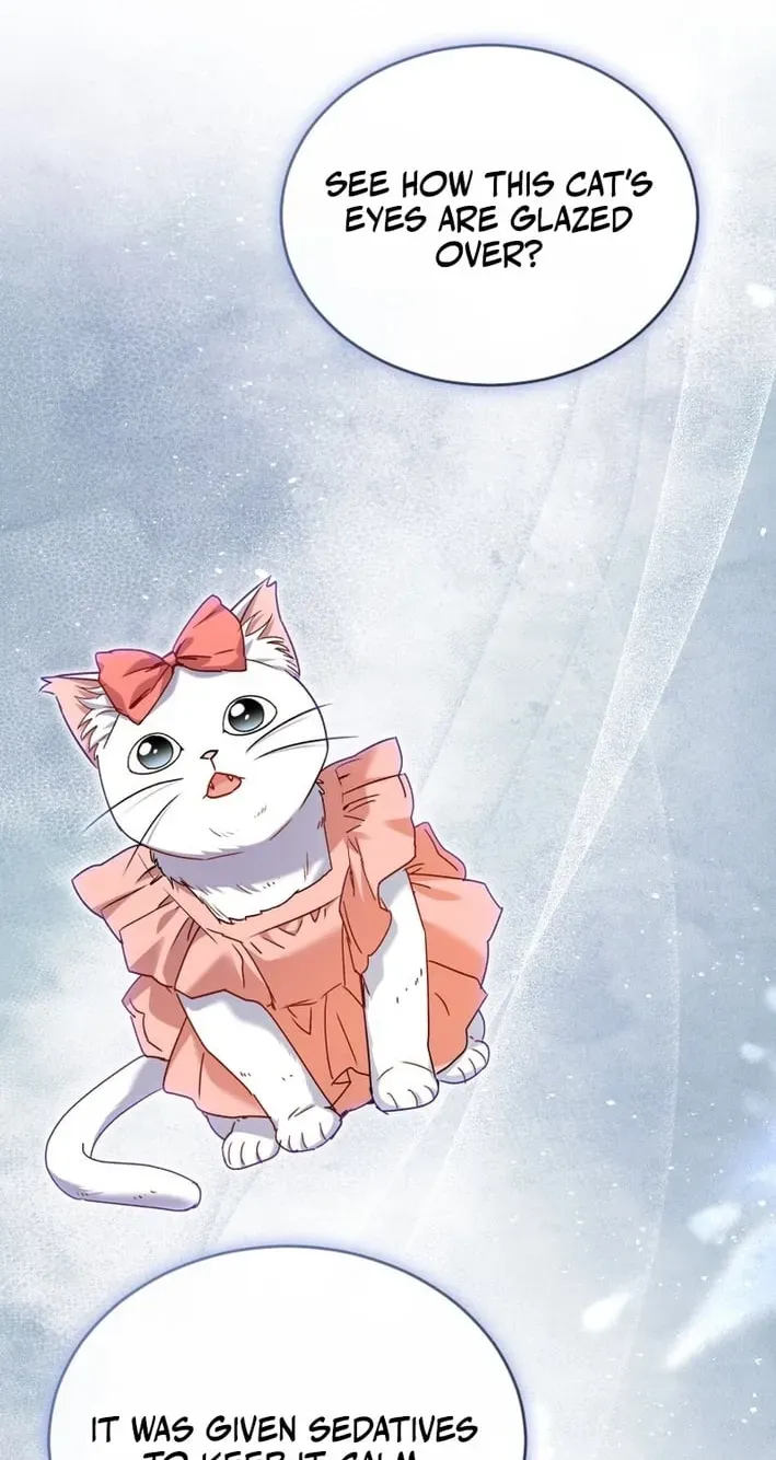 Hello, Mr. Veterinarian! Chapter 136 page 10 - 
