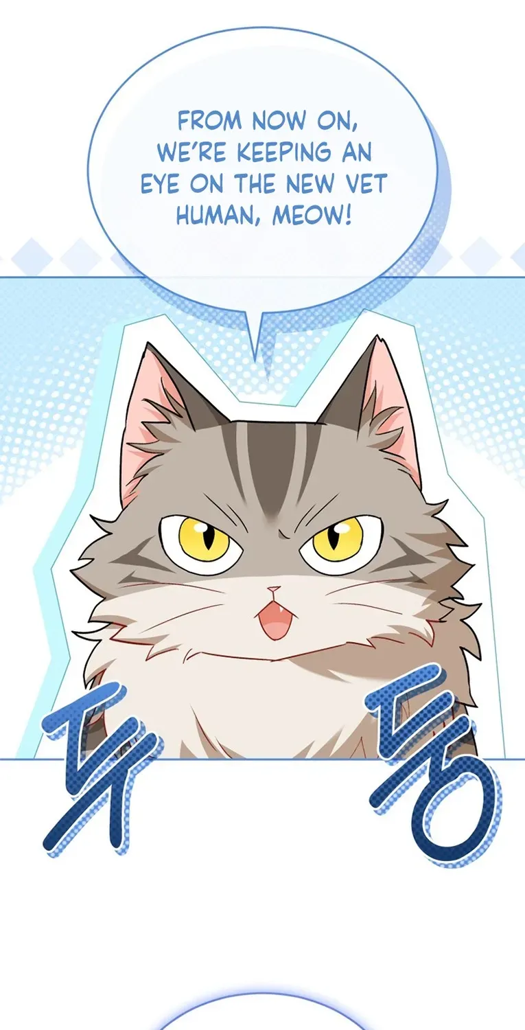 Hello, Mr. Veterinarian! Chapter 137 page 2 - 