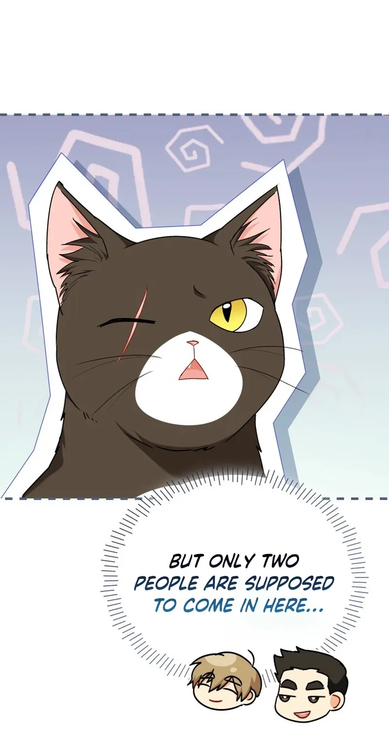 Hello, Mr. Veterinarian! Chapter 137 page 107 - 