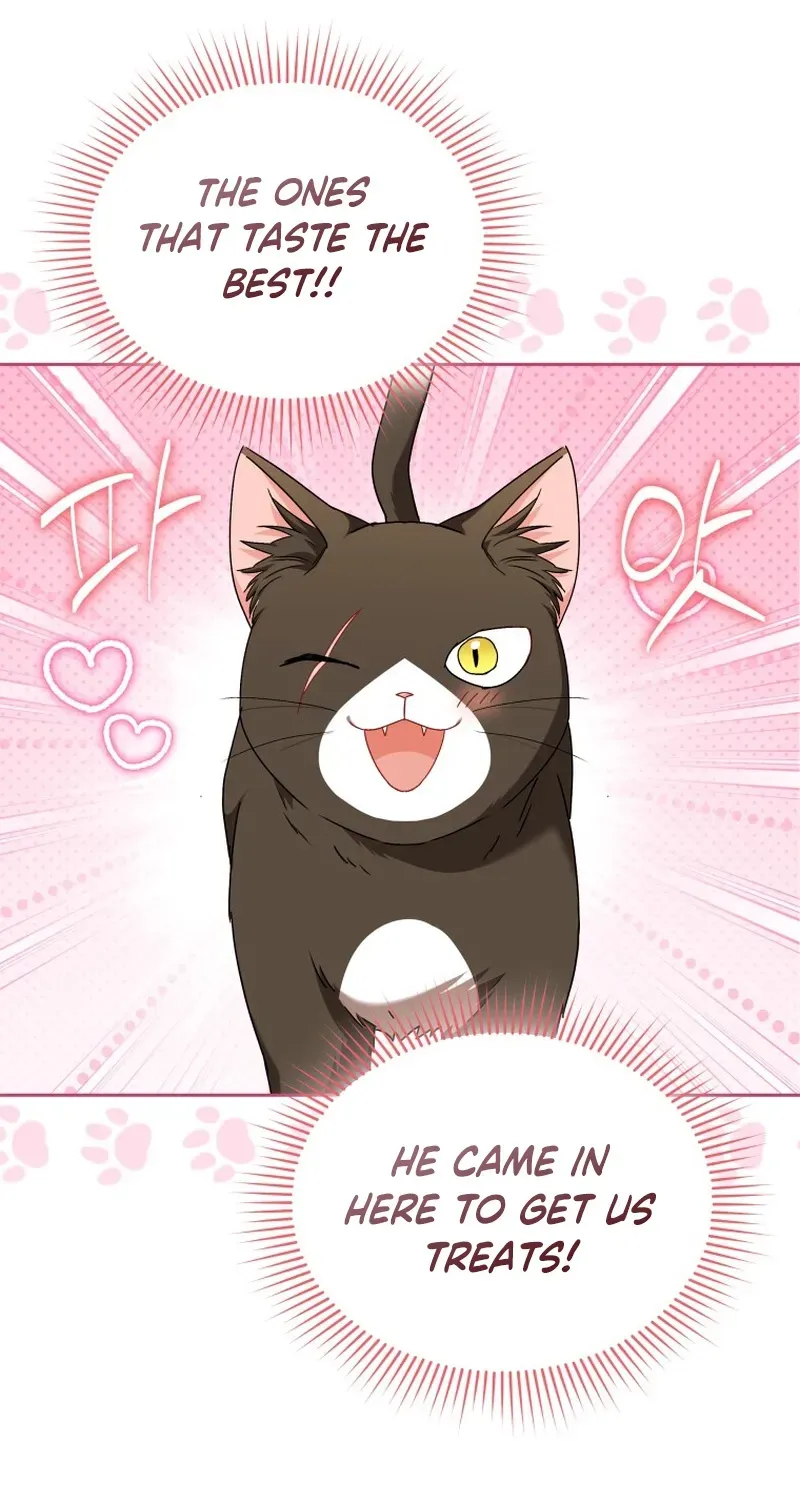 Hello, Mr. Veterinarian! Chapter 137 page 111 - 