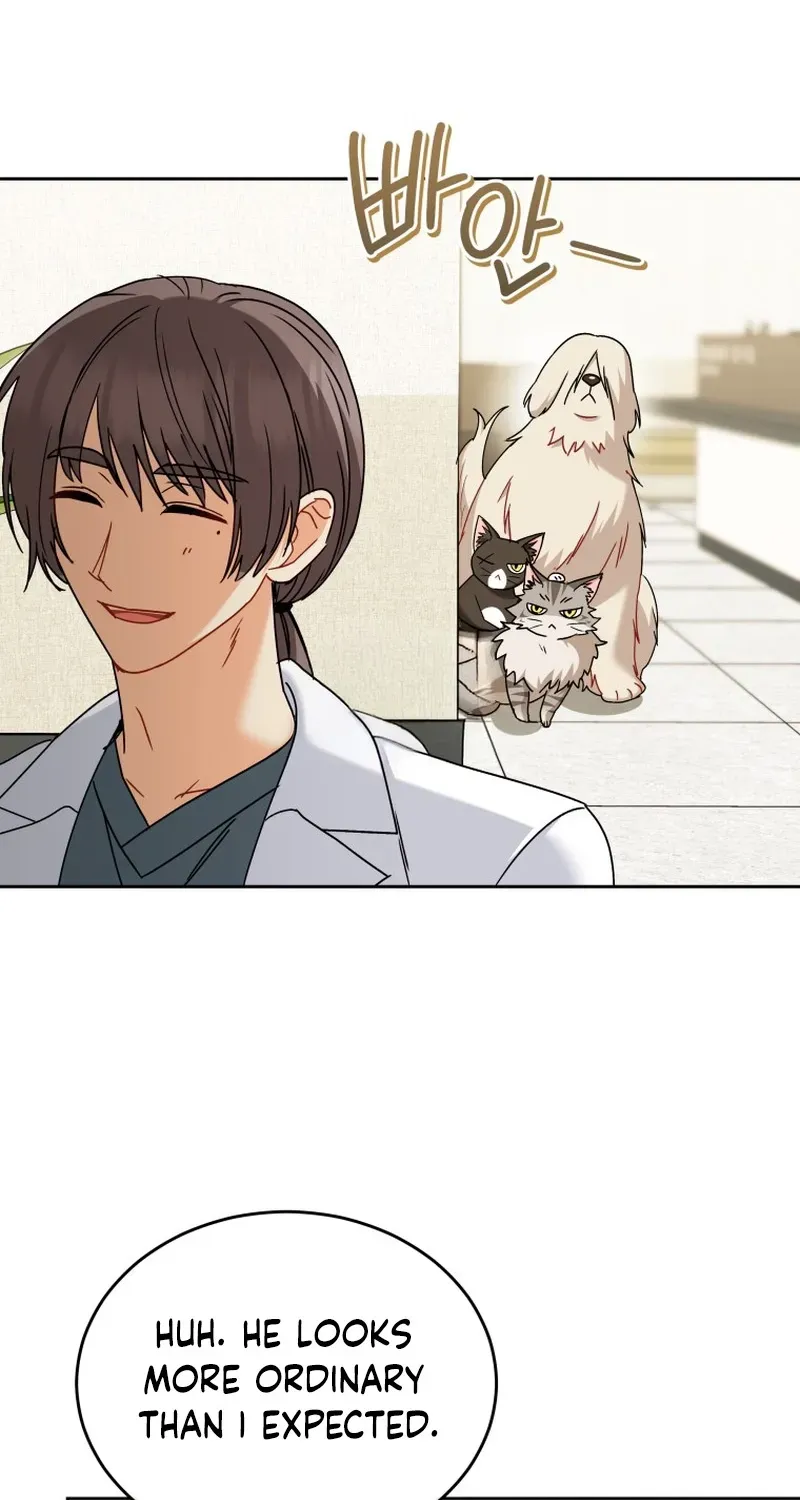 Hello, Mr. Veterinarian! Chapter 137 page 13 - 