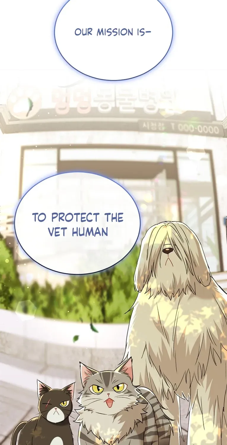 Hello, Mr. Veterinarian! Chapter 137 page 3 - 