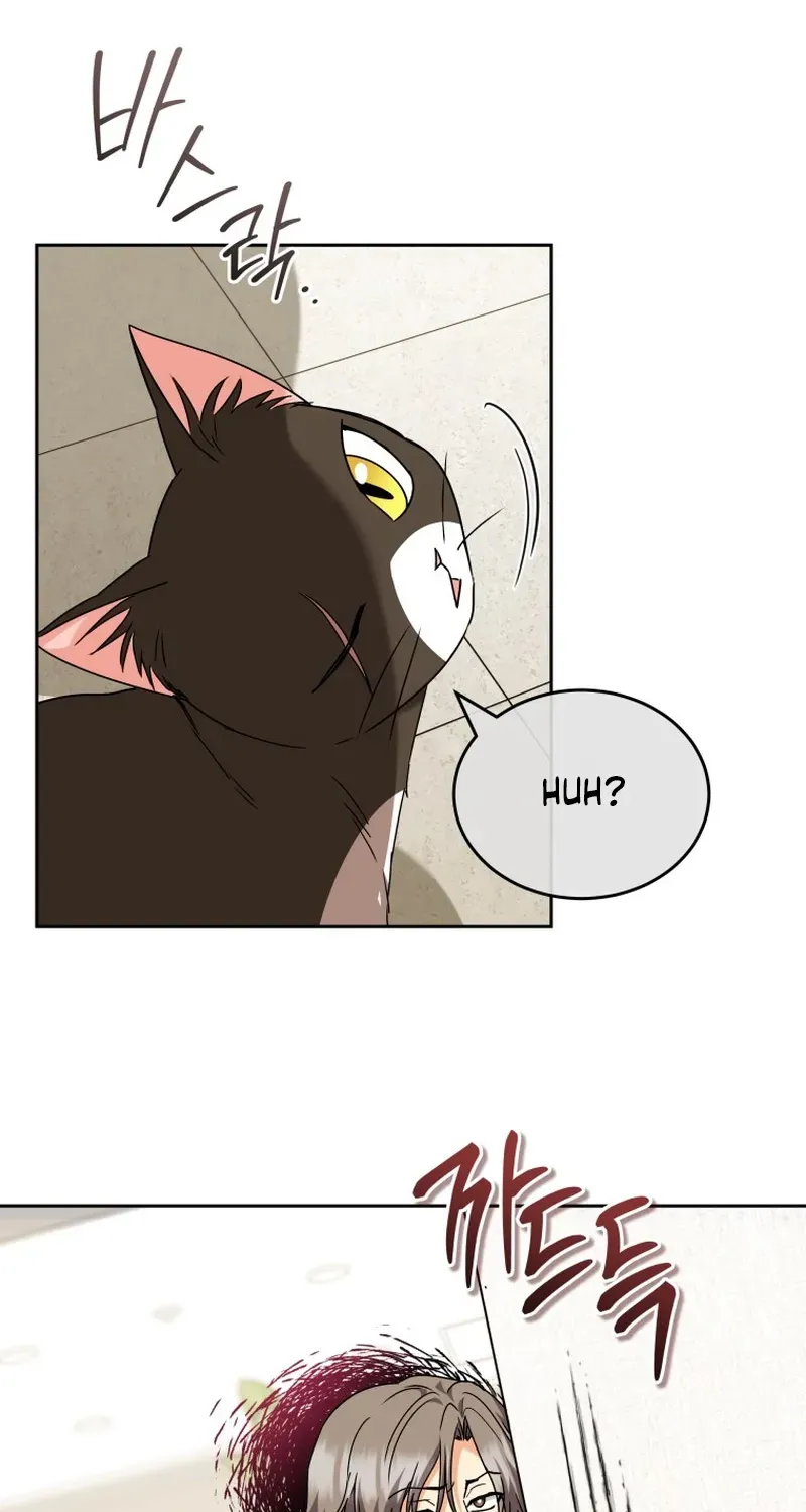 Hello, Mr. Veterinarian! Chapter 137 page 25 - 