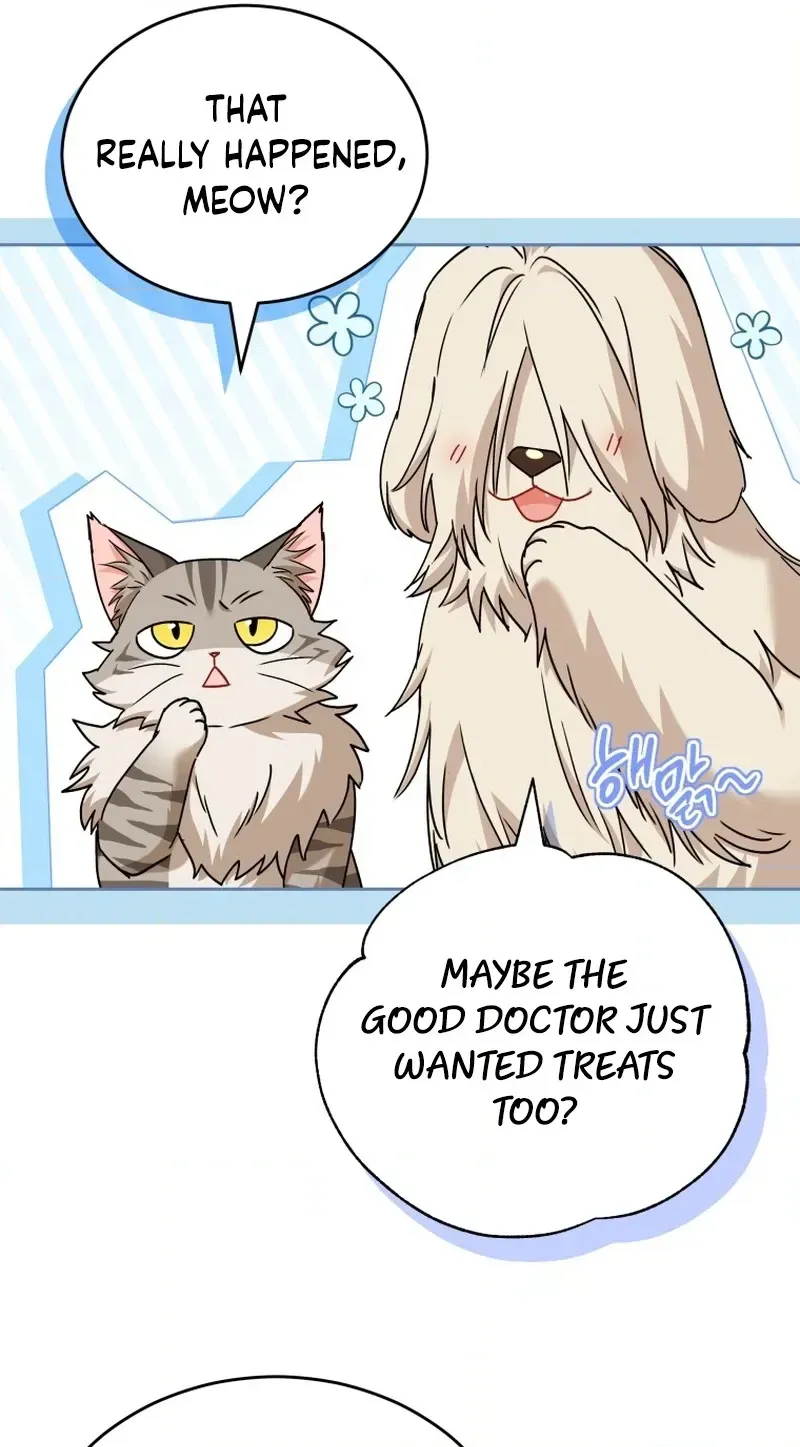 Hello, Mr. Veterinarian! Chapter 137 page 29 - 