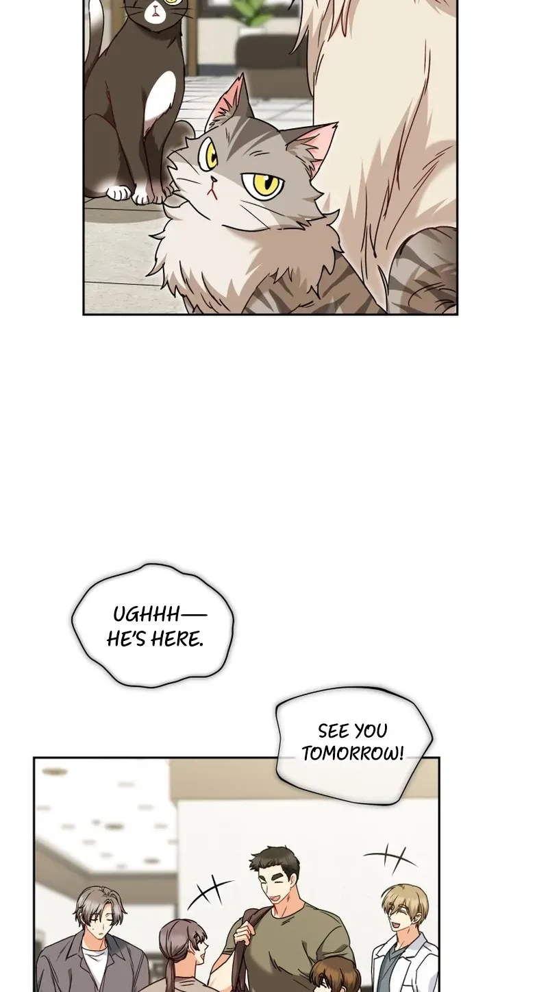Hello, Mr. Veterinarian! Chapter 137 page 32 - 
