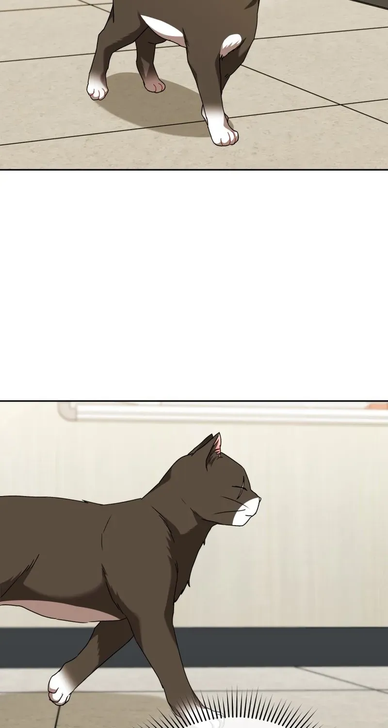 Hello, Mr. Veterinarian! Chapter 137 page 87 - 