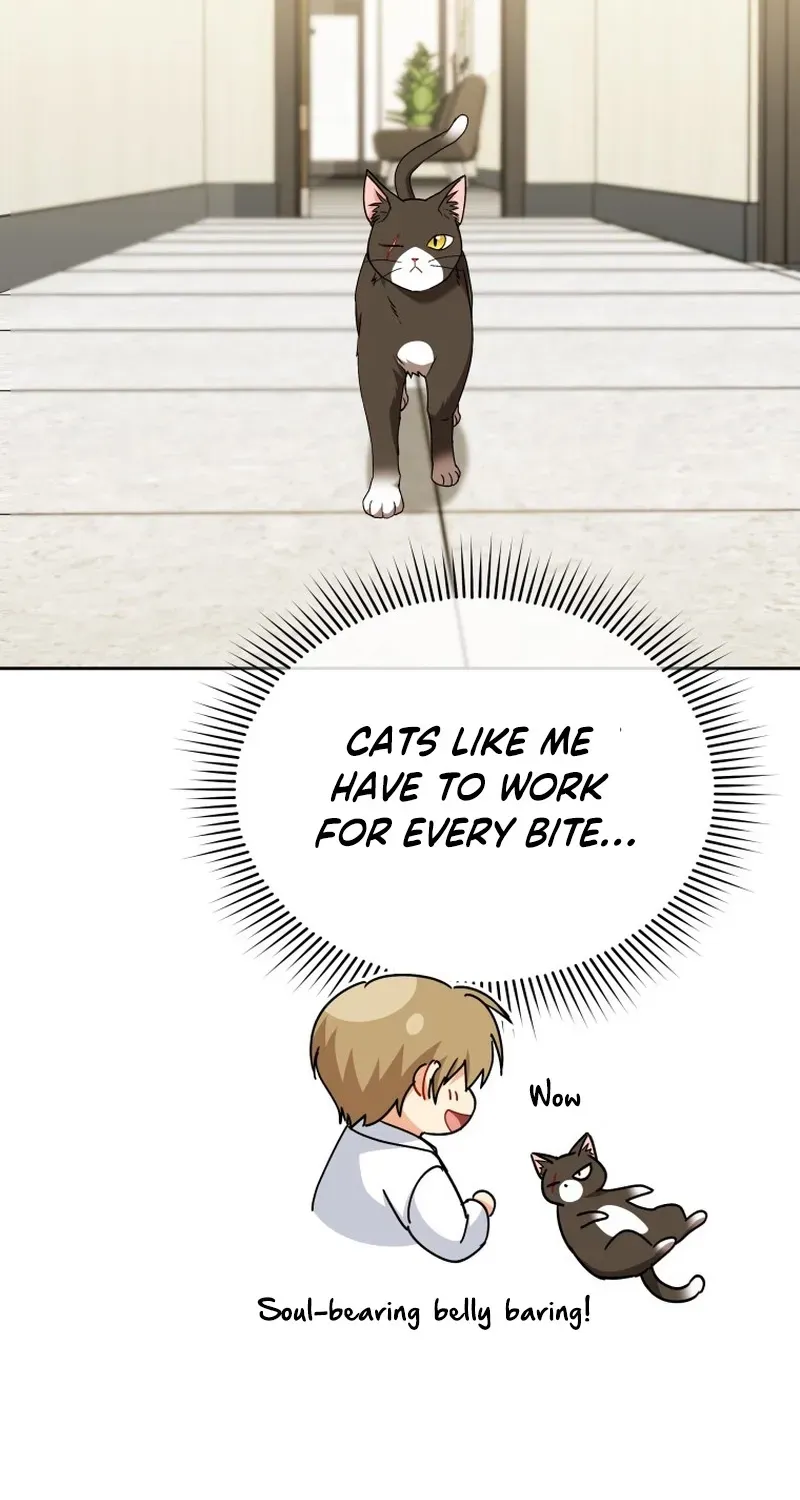 Hello, Mr. Veterinarian! Chapter 137 page 91 - 