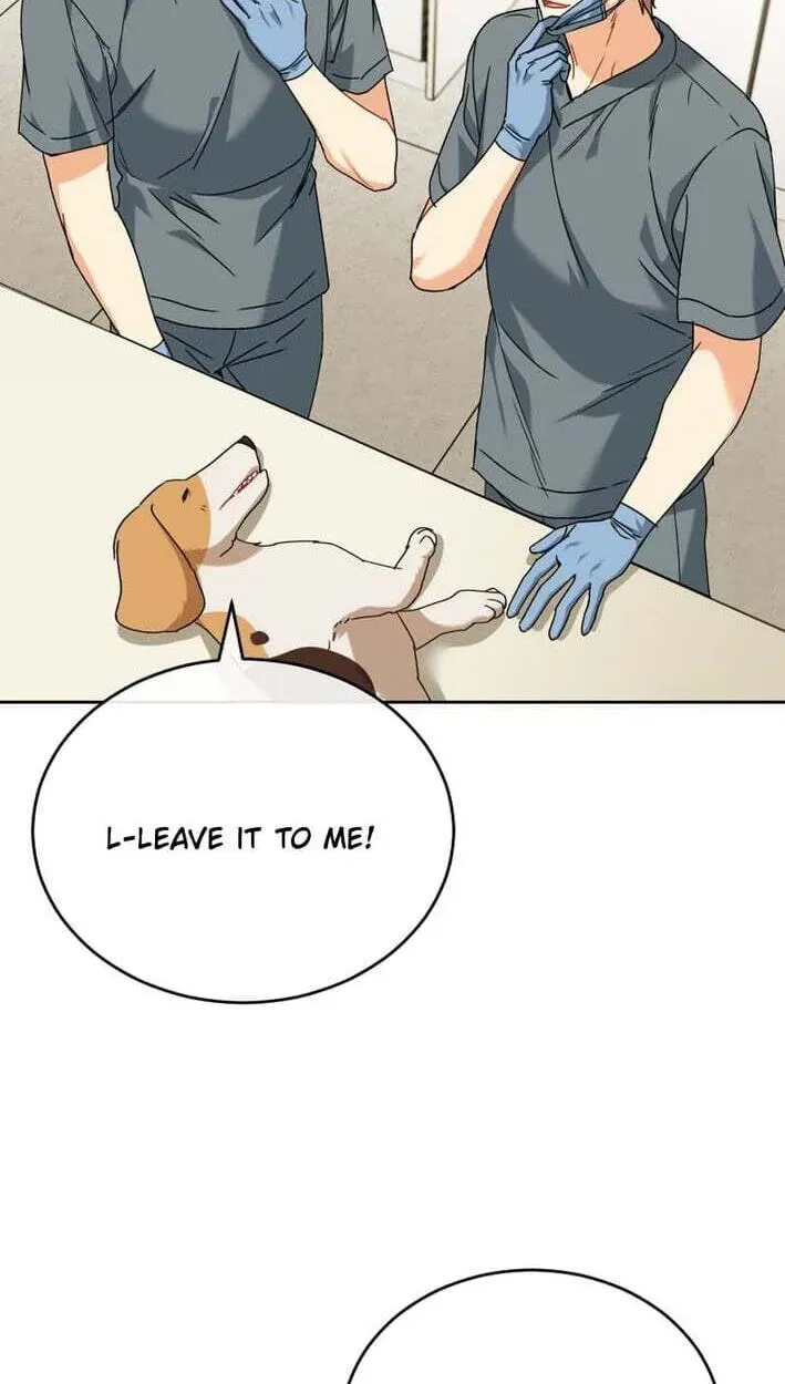 Hello, Mr. Veterinarian! Chapter 138 page 27 - 