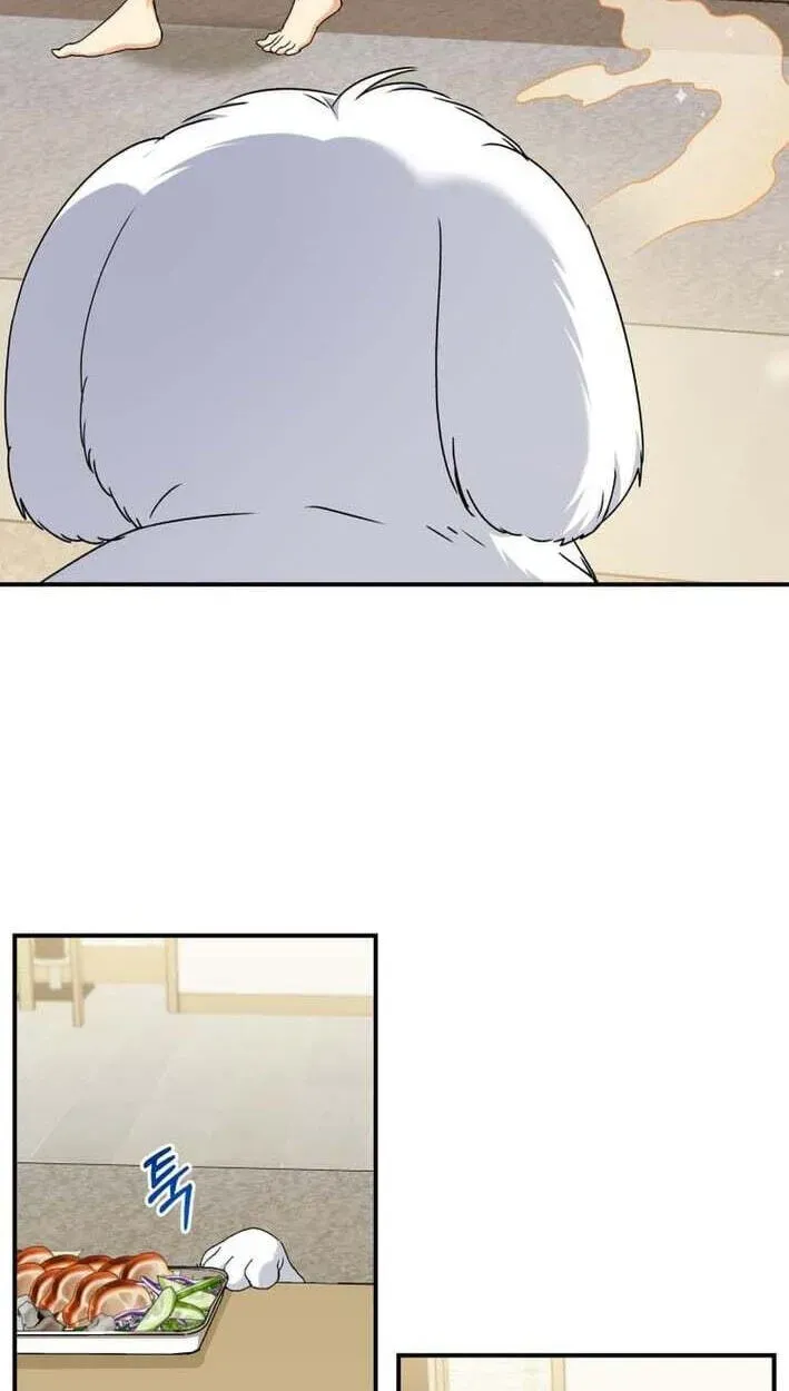 Hello, Mr. Veterinarian! Chapter 138 page 45 - 