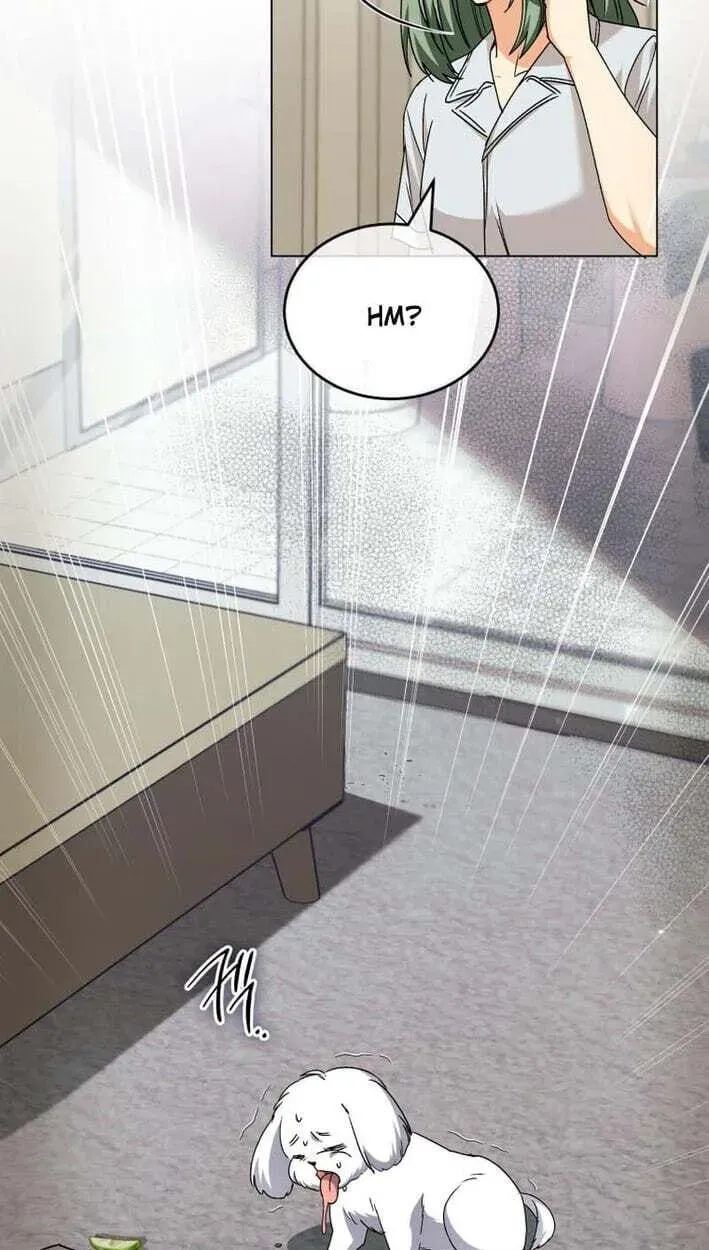 Hello, Mr. Veterinarian! Chapter 138 page 48 - 