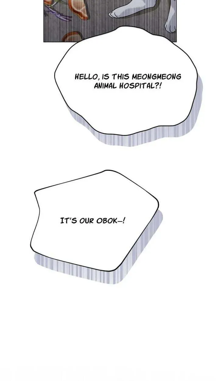 Hello, Mr. Veterinarian! Chapter 138 page 51 - 