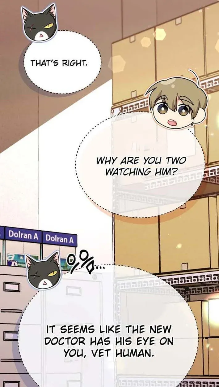 Hello, Mr. Veterinarian! Chapter 138 page 7 - 