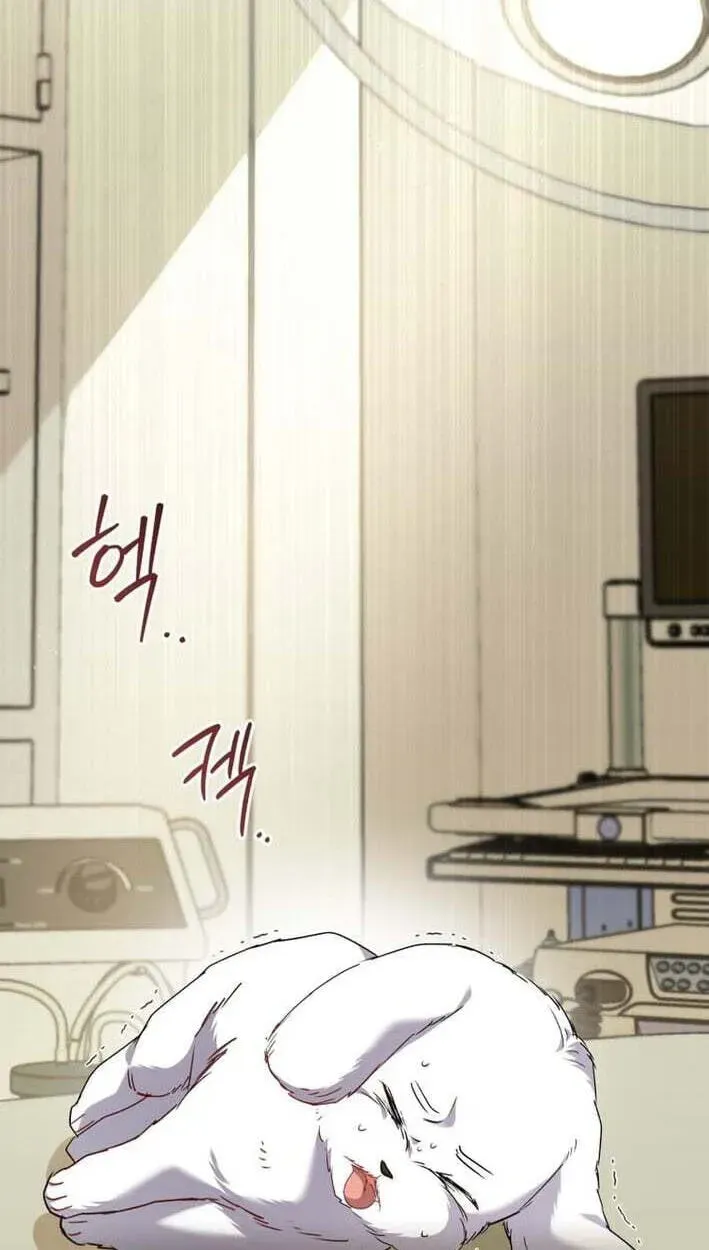 Hello, Mr. Veterinarian! Chapter 138 page 65 - 