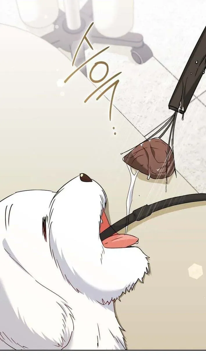 Hello, Mr. Veterinarian! Chapter 138 page 79 - 