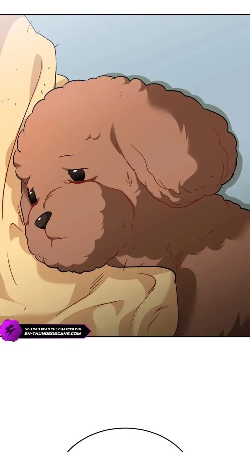 Hello, Mr. Veterinarian! Chapter 139 page 2 - 