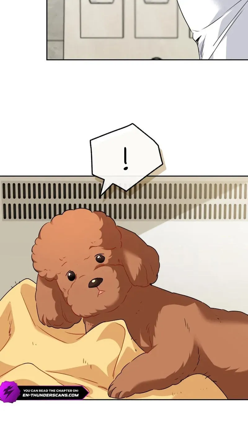 Hello, Mr. Veterinarian! Chapter 139 page 11 - 