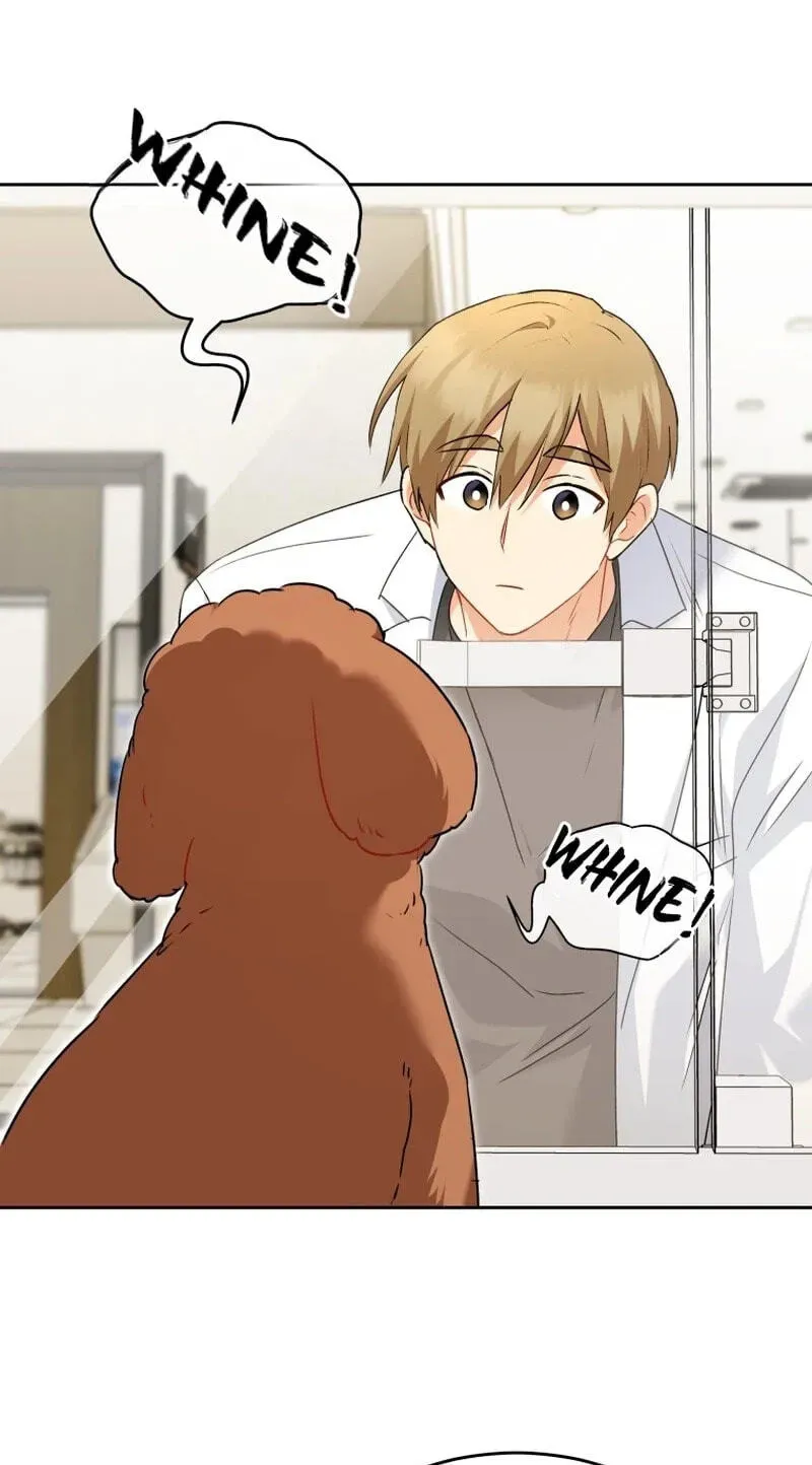Hello, Mr. Veterinarian! Chapter 139 page 12 - 