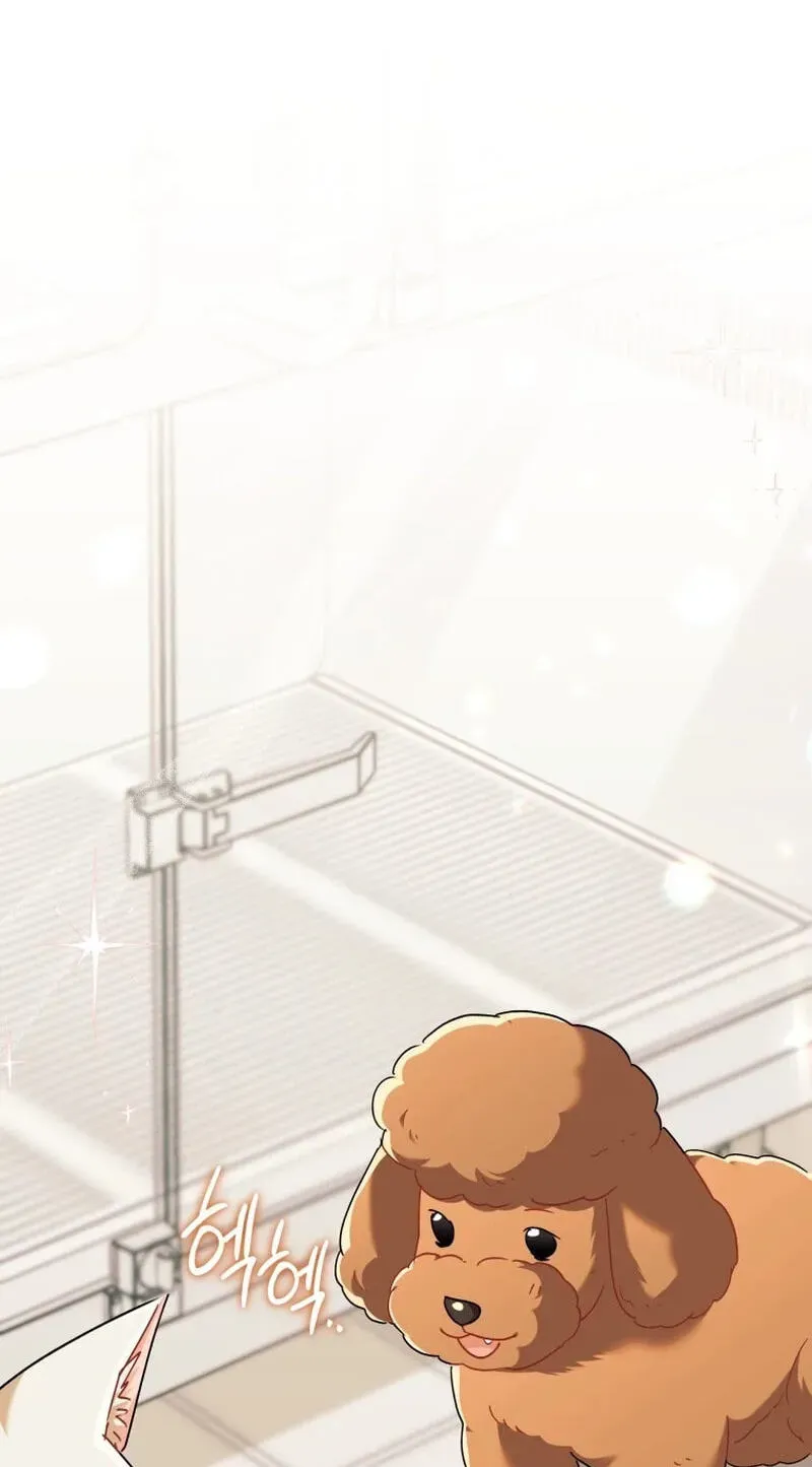 Hello, Mr. Veterinarian! Chapter 139 page 119 - 
