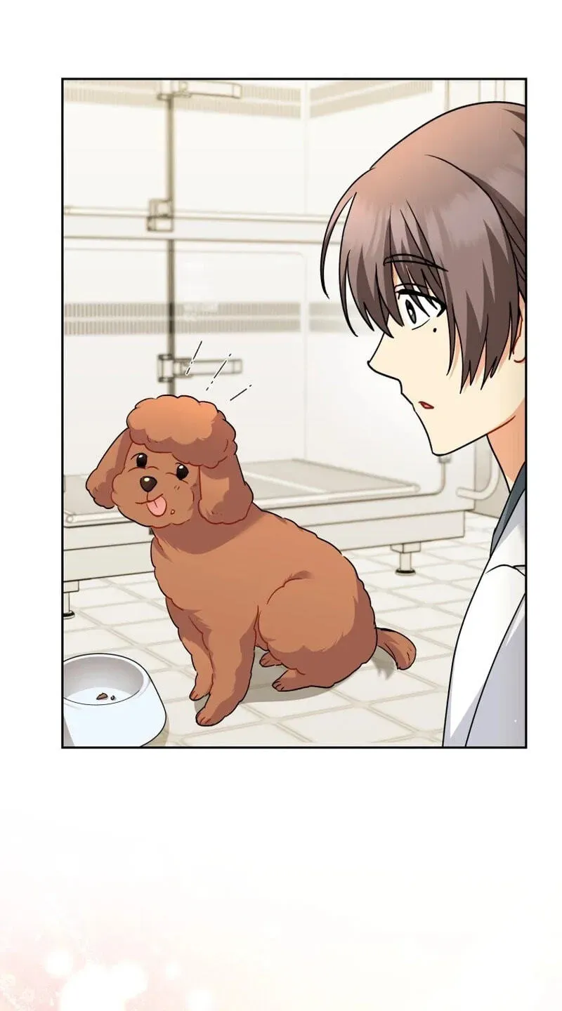 Hello, Mr. Veterinarian! Chapter 139 page 125 - 