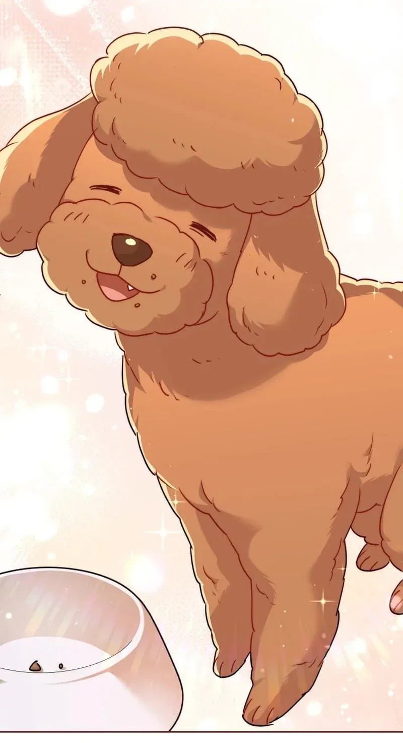 Hello, Mr. Veterinarian! Chapter 139 page 126 - 