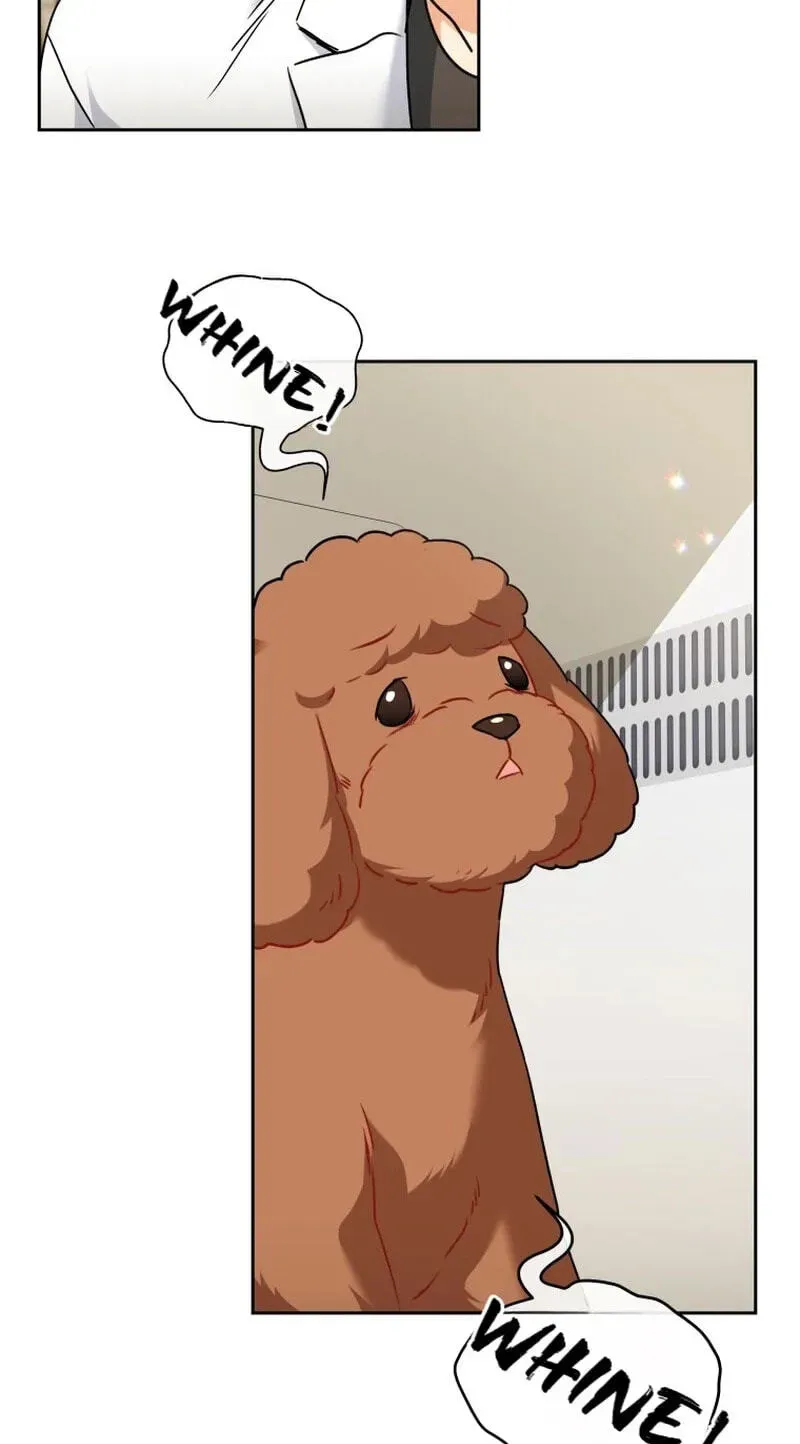Hello, Mr. Veterinarian! Chapter 139 page 14 - 